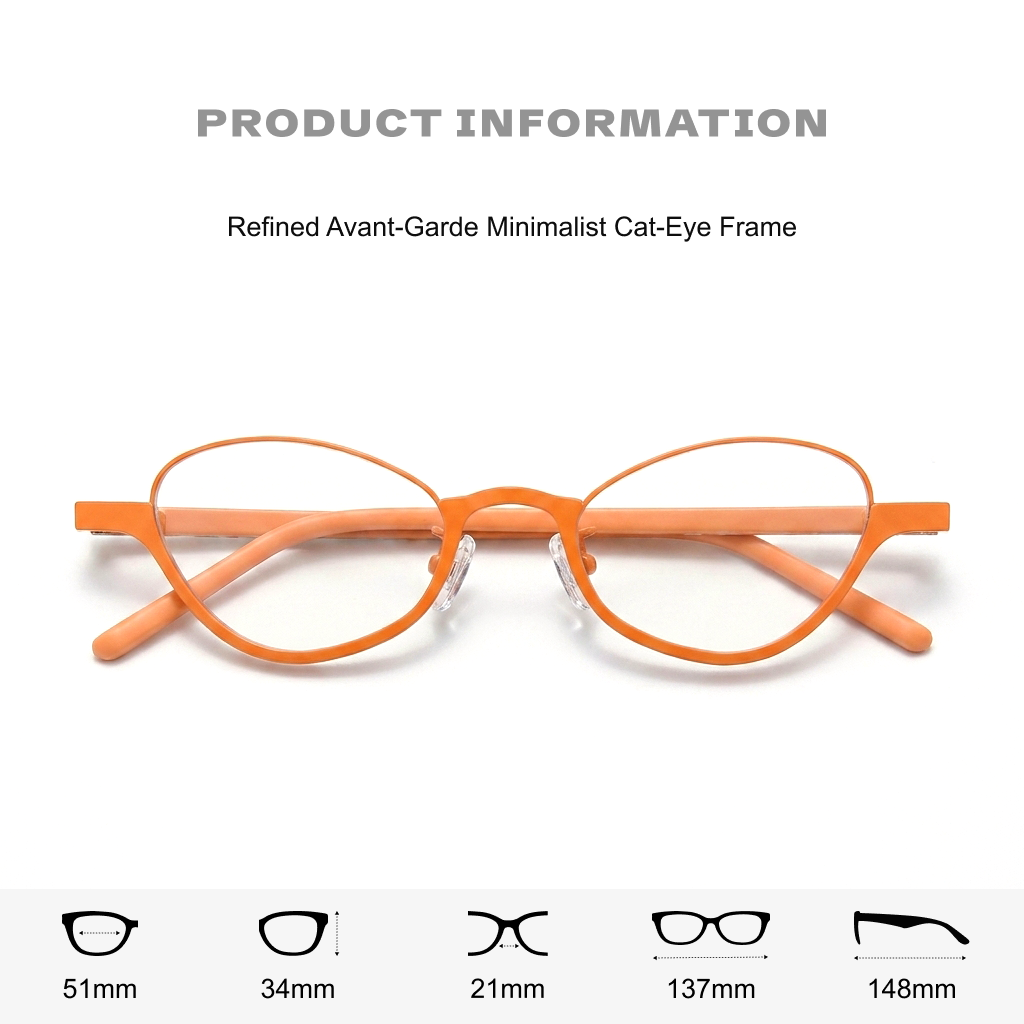 Titanium Cat Eye Optical Frames